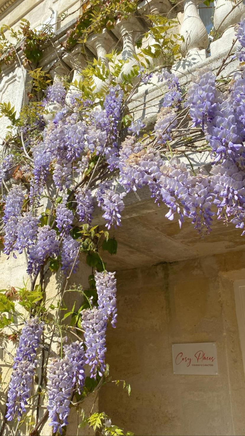 Le Clos Des Queyries, Chambres D'Hotes Bordeaux Luaran gambar